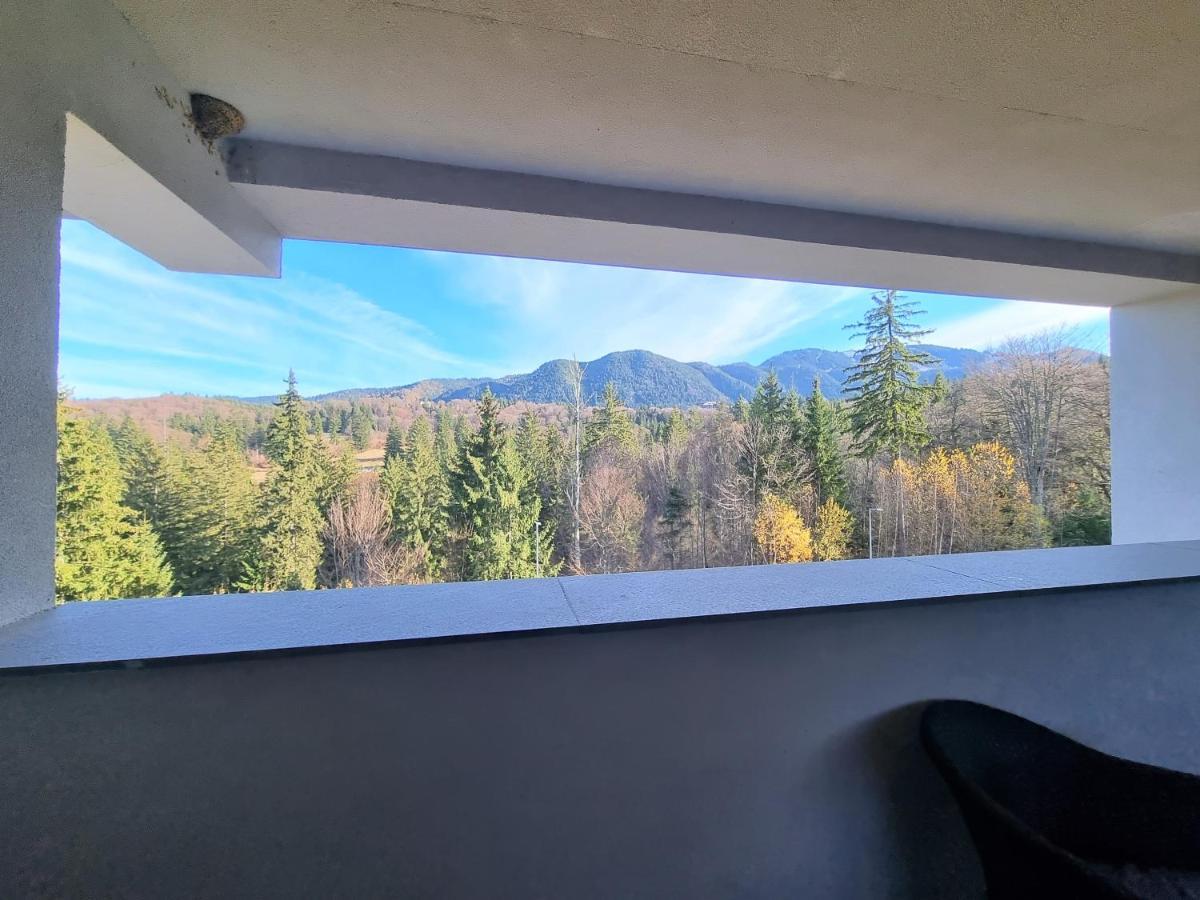 Maio Studio Silver Mountain Пояна Брашов Екстериор снимка